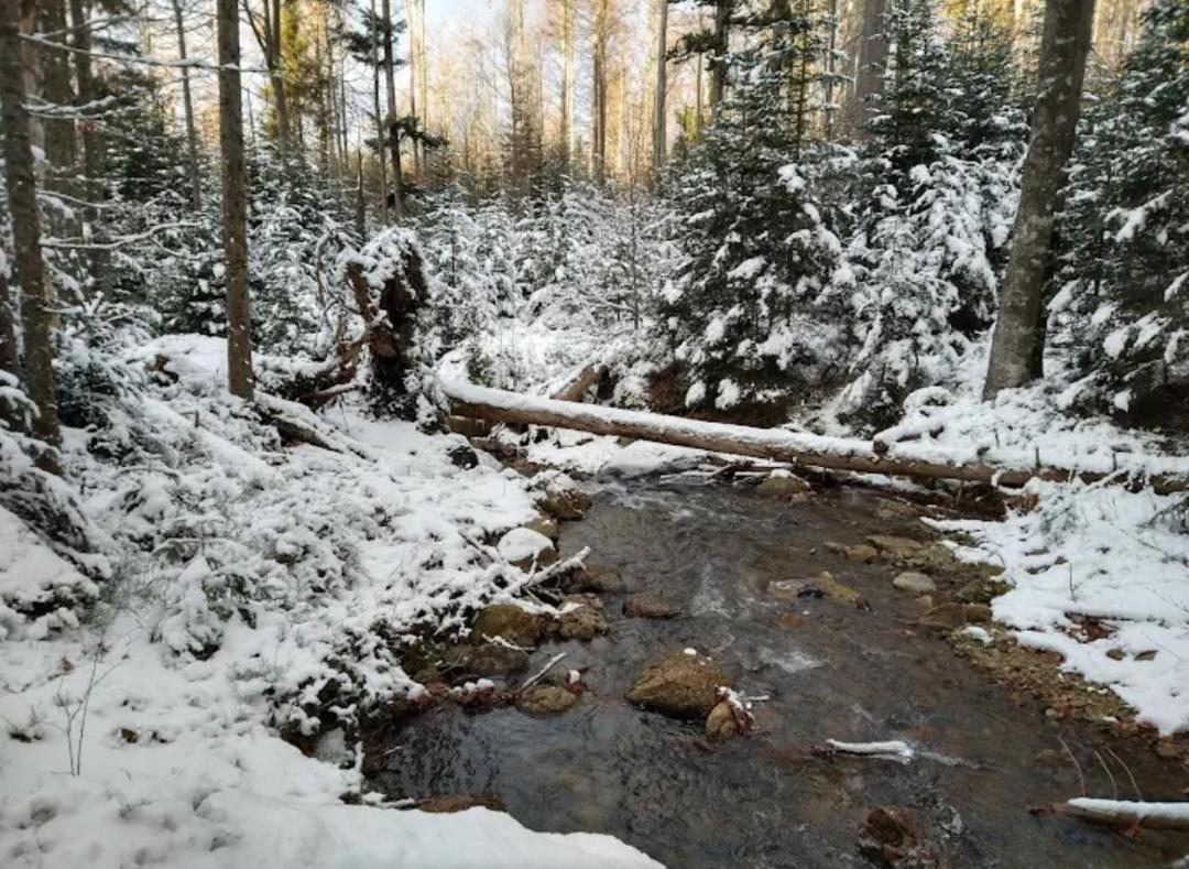Ferienwohnungen "Haus Daxberg" Idyllisch Gelegen Im Bayerischen Wald Eppenschlag Bagian luar foto