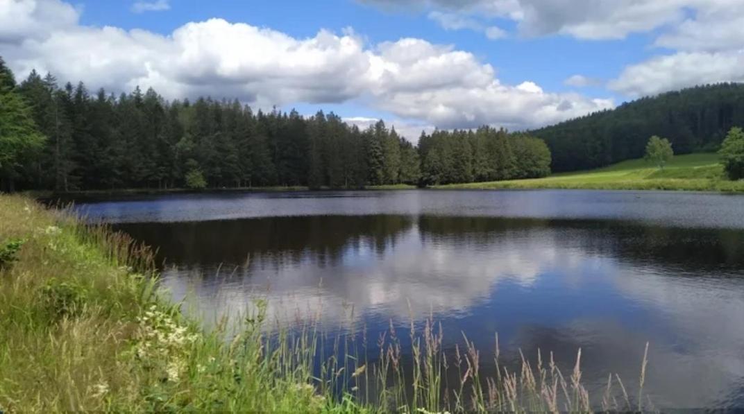 Ferienwohnungen "Haus Daxberg" Idyllisch Gelegen Im Bayerischen Wald Eppenschlag Bagian luar foto