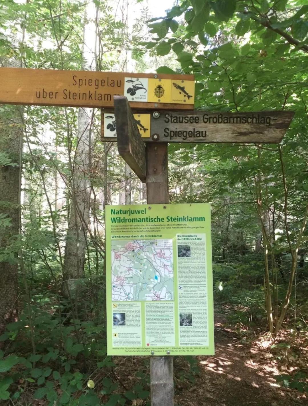Ferienwohnungen "Haus Daxberg" Idyllisch Gelegen Im Bayerischen Wald Eppenschlag Ruang foto